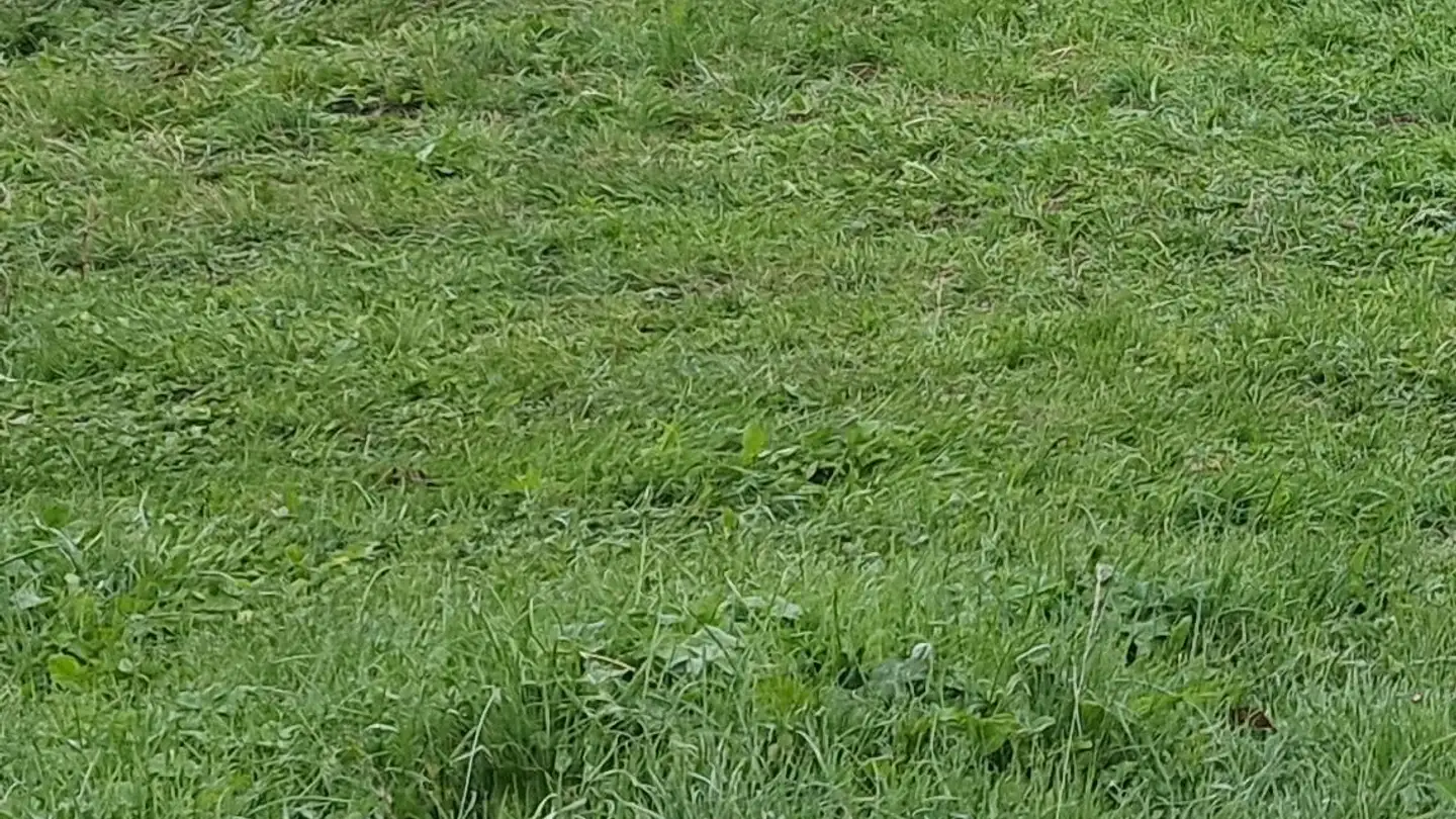 Terreno edificabile commerciale in vendita - 8172 Niederglatt ZH