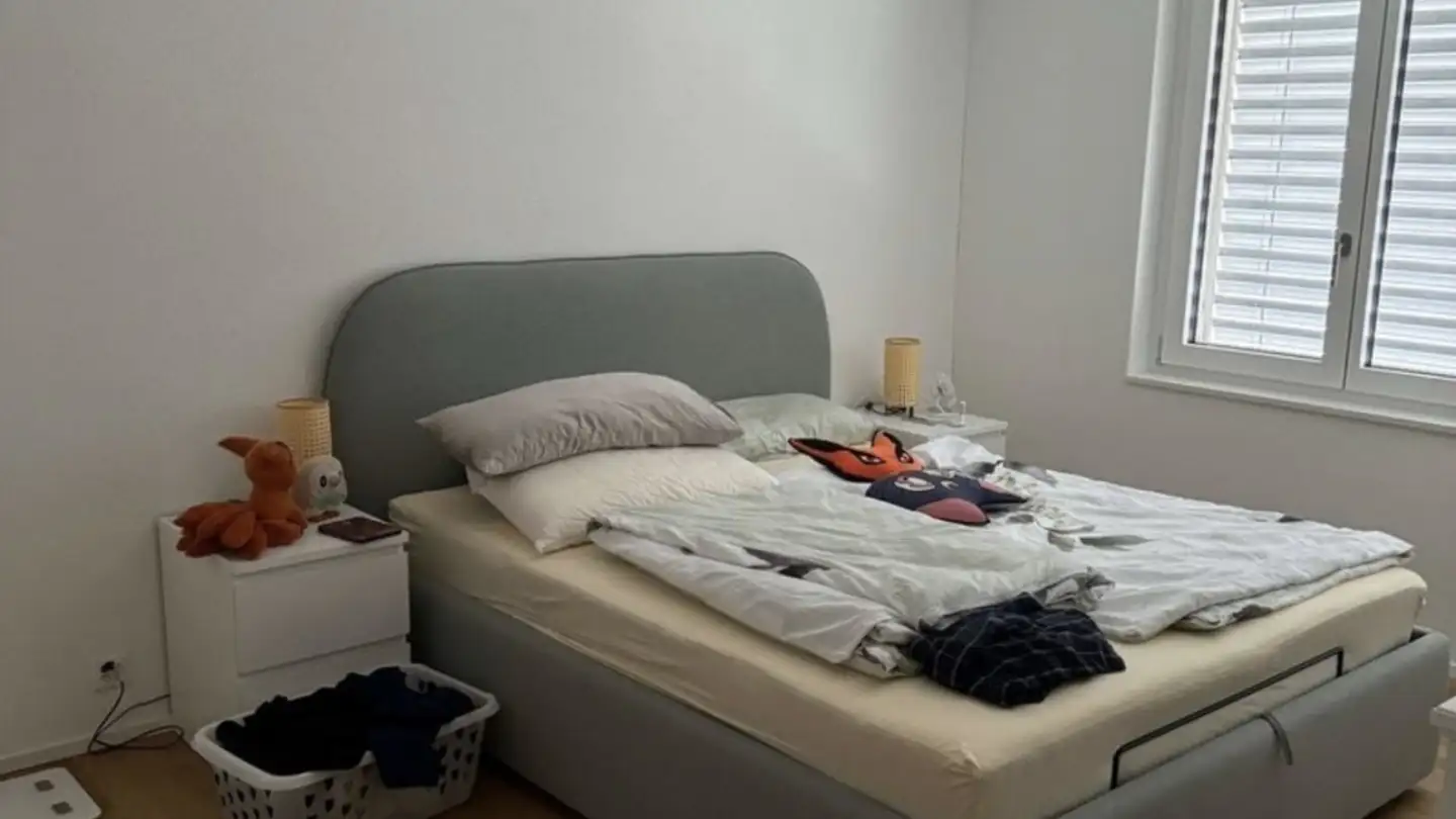 Apartment for rent - 8046 Zürich - Photo 4