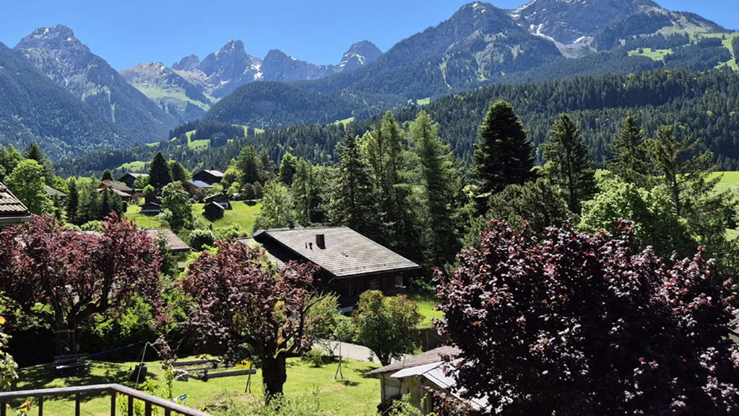 Appartamento in vendita - 1660 Château-d'Oex - Foto 4
