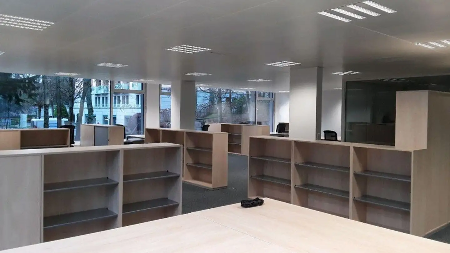 Office space for rent - Chemin Ami- Argand 9, 1290 Versoix - Photo 4