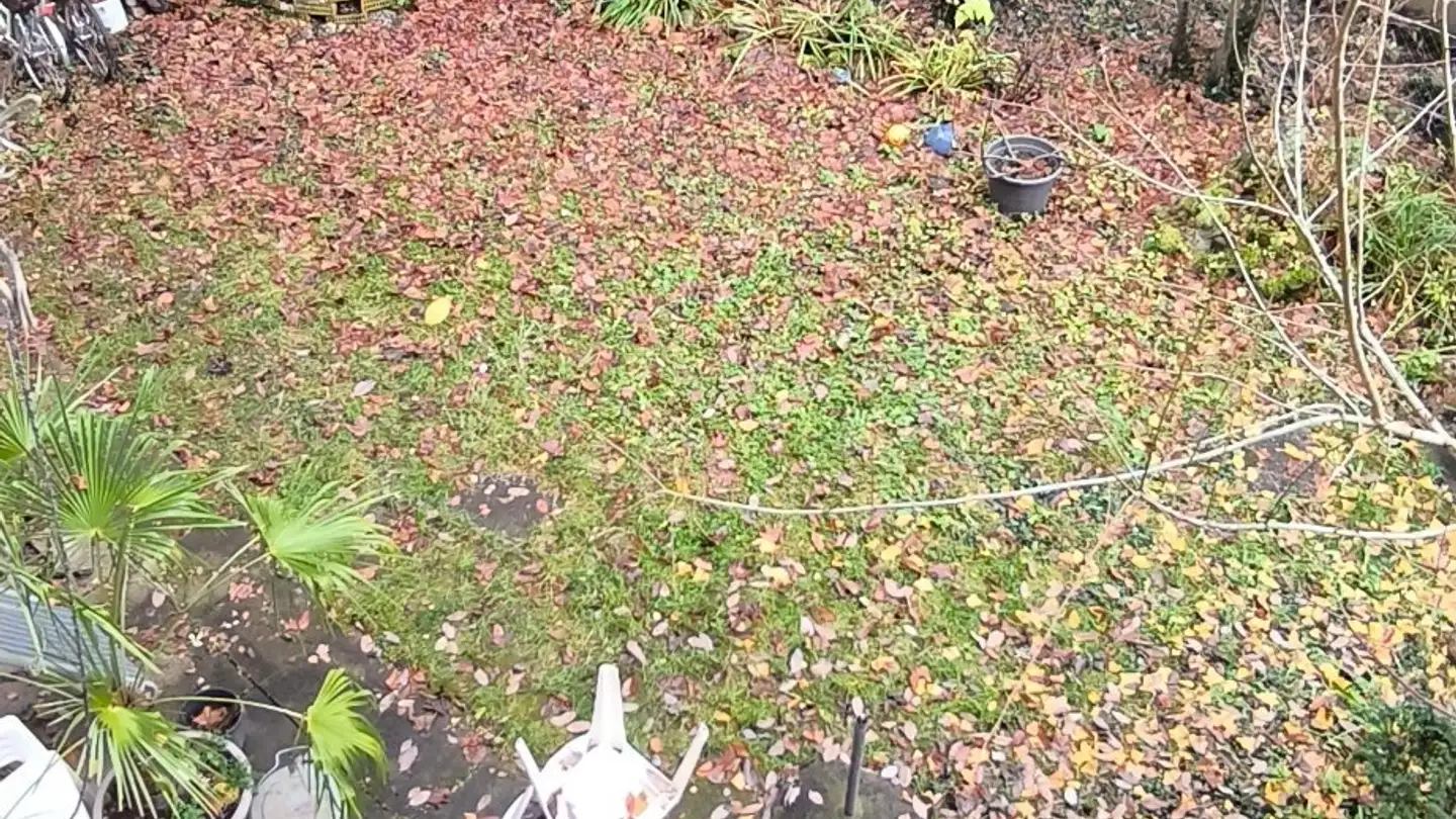 Chambre à louer - Höheweg 34, 3006 Bern - Photo 4