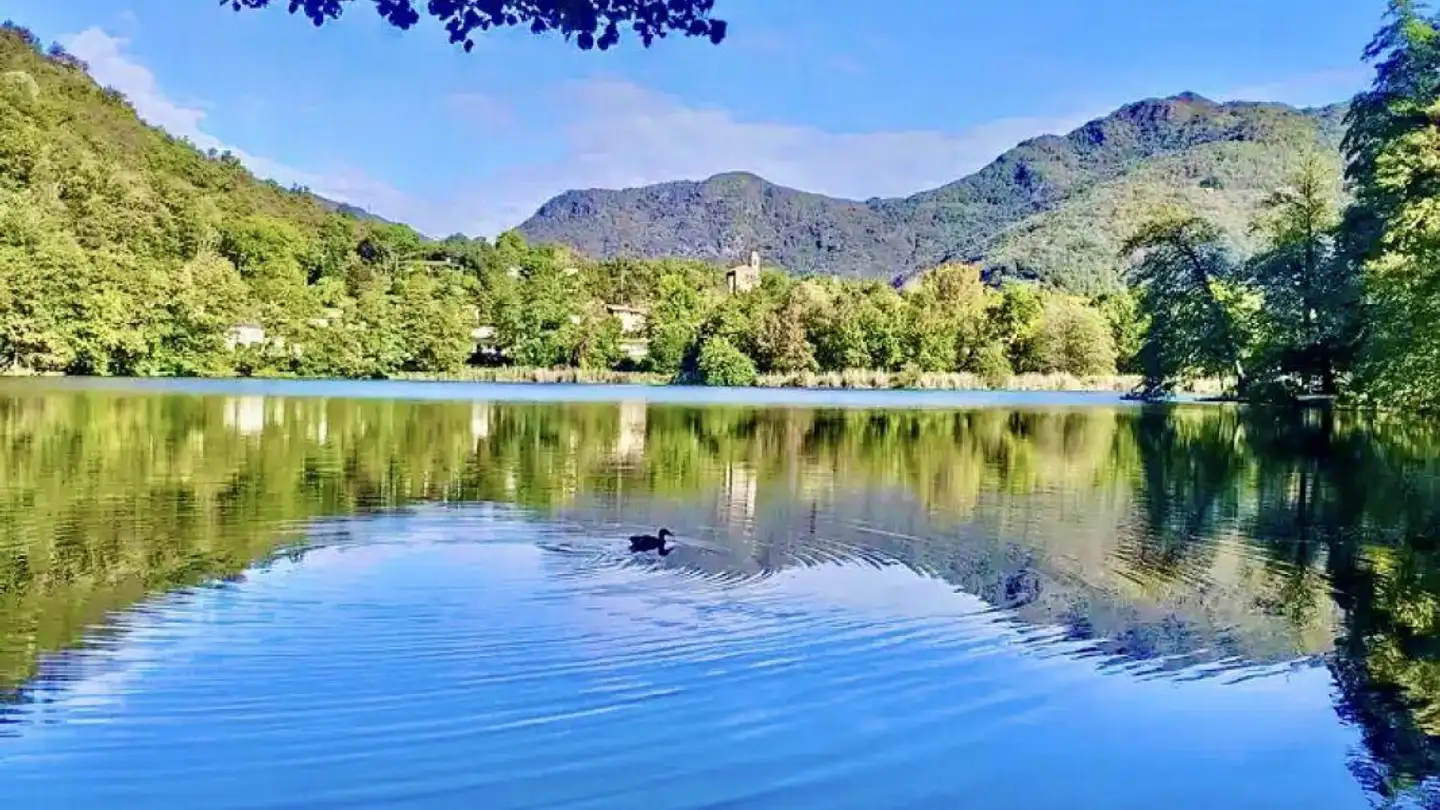 Villa for rent - 6945 Origlio