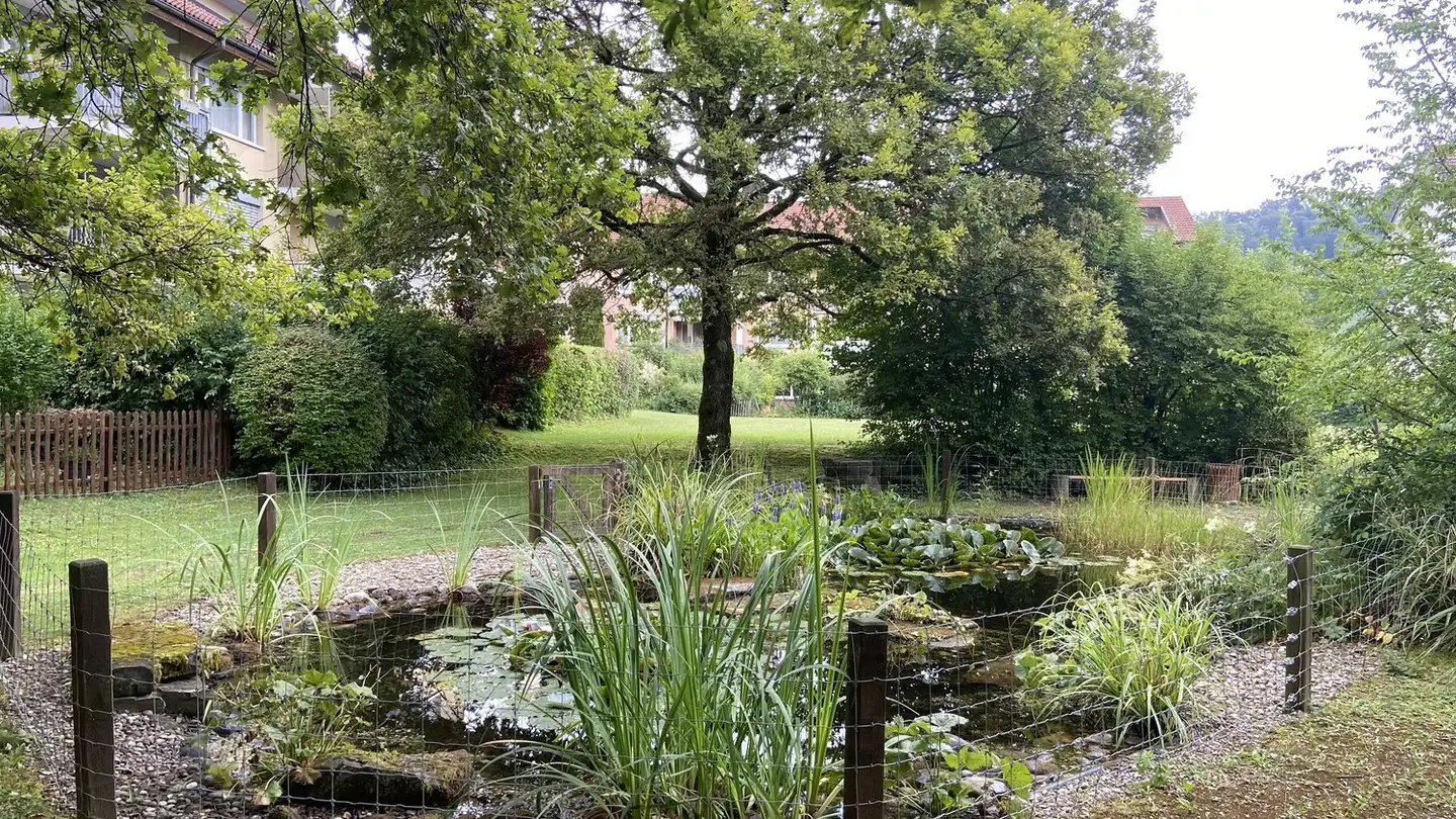 Apartment for rent - Müliwiesstrasse 65, 8487 Zell ZH - Photo 2