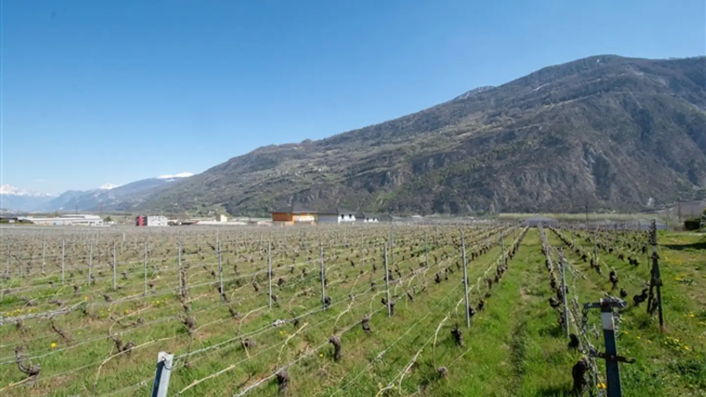 Appartamento in vendita - 1955 Chamoson - Foto 3