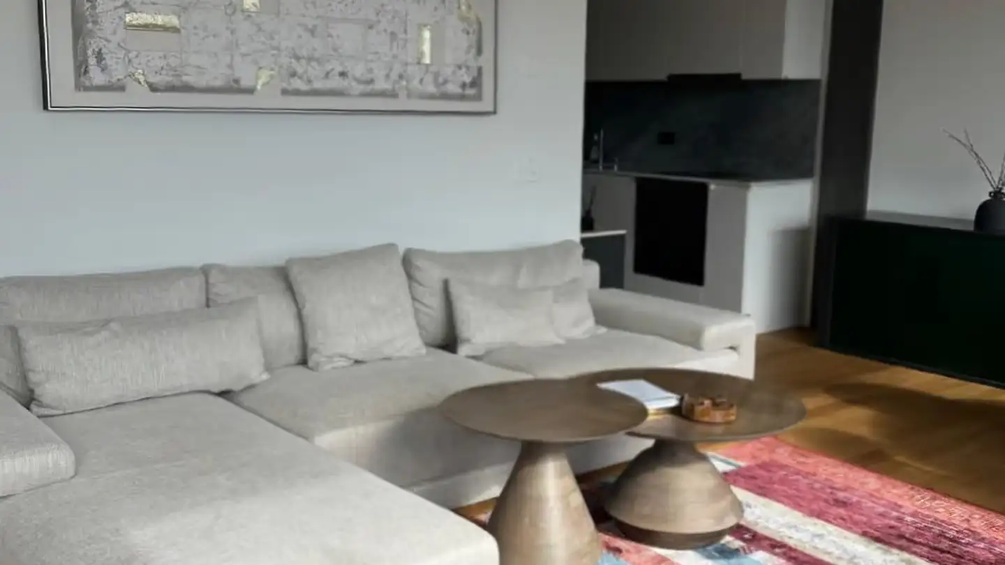 Furnished apartment for rent - Brown Boveri Platz, 5400 Baden - Photo 2