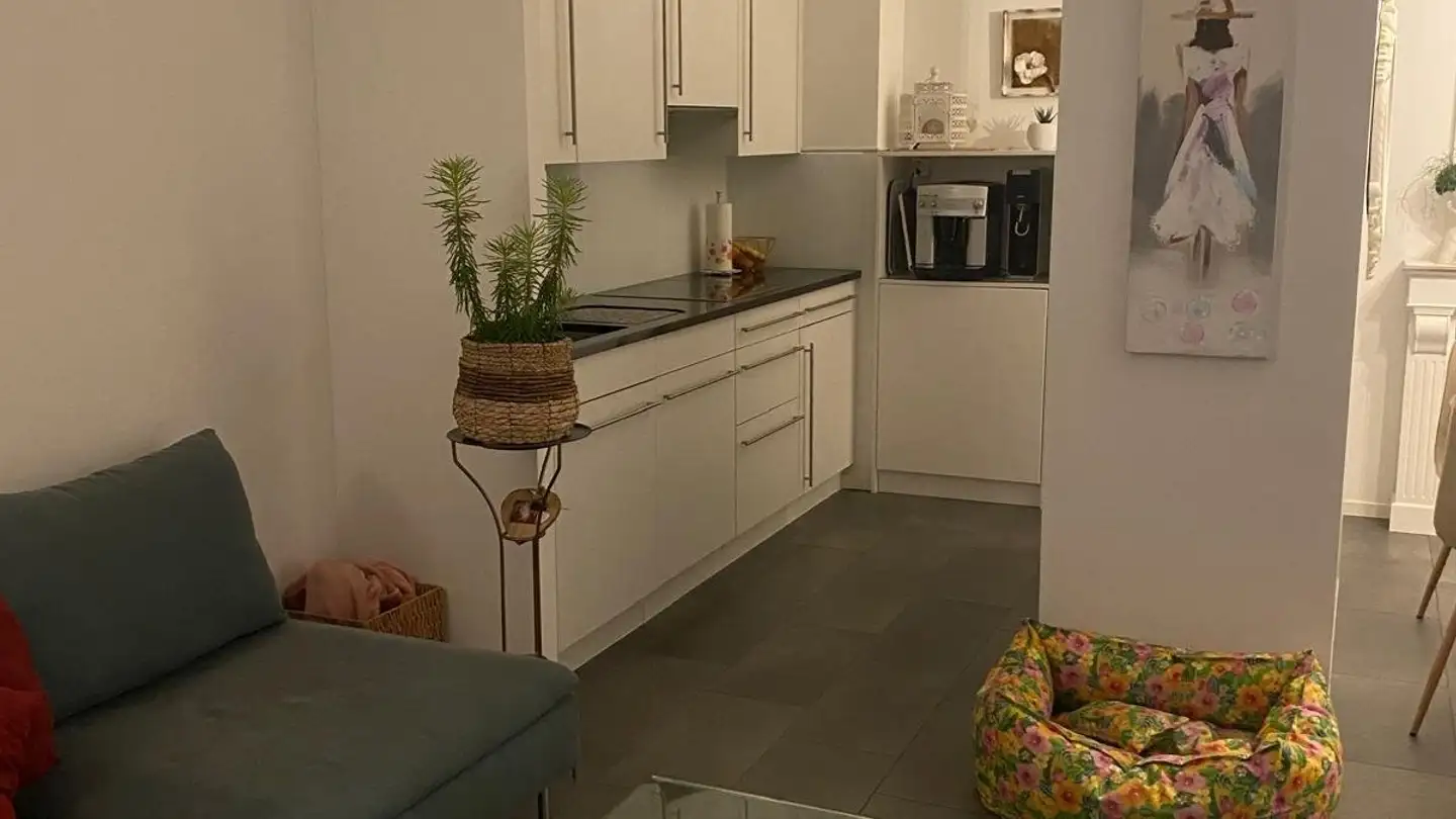 Appartement à louer - Via Stefano Franscini 14a, 6600 Locarno