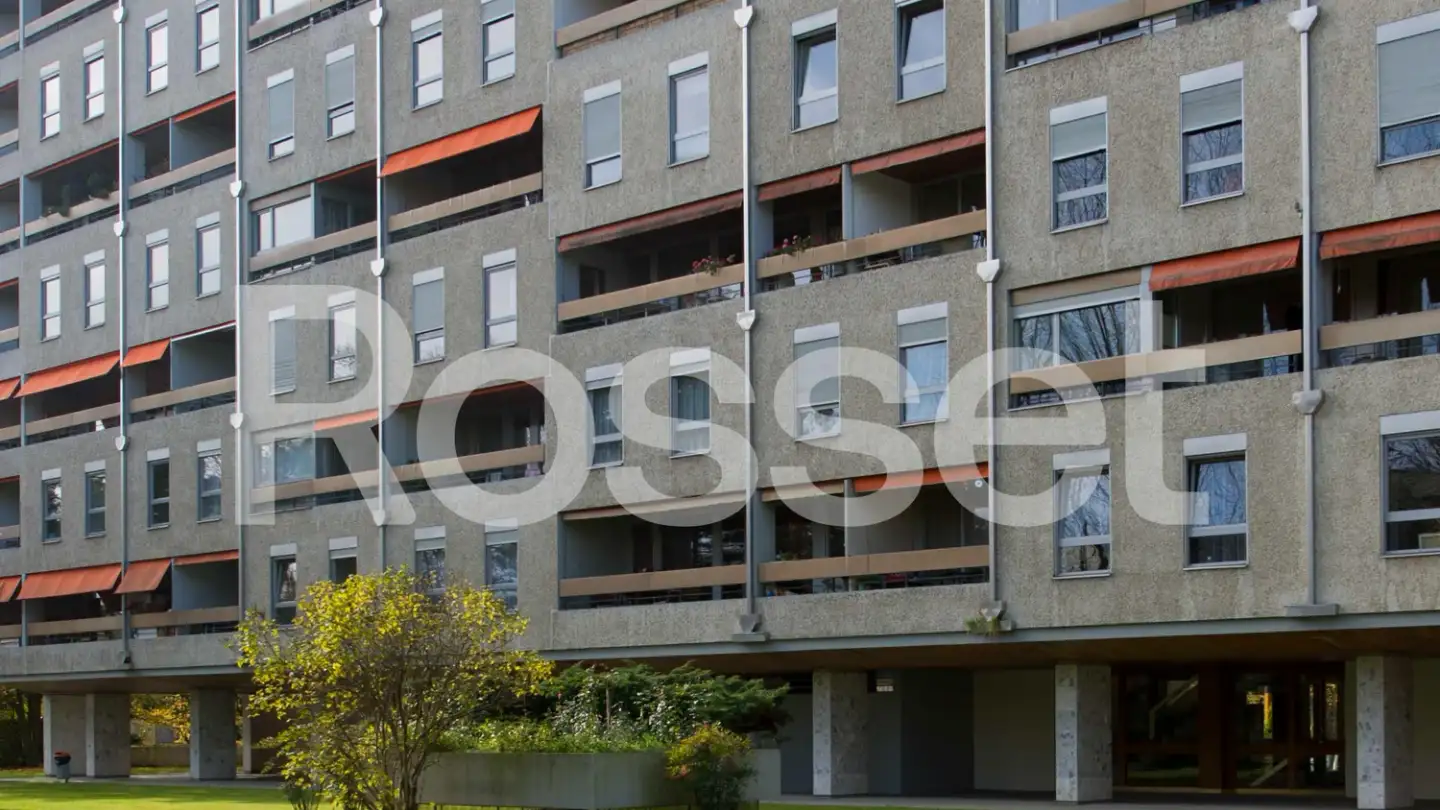 Appartamento in affitto - Avenue Des Cavaliers 23, 1224 Chêne-Bougeries
