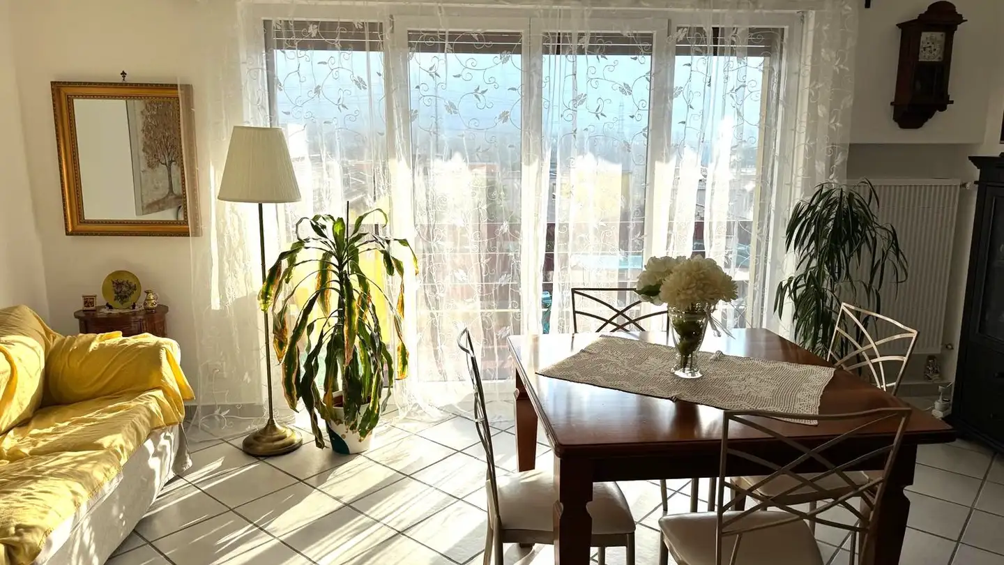 Apartment for sale - 6514 Sementina - Photo 3