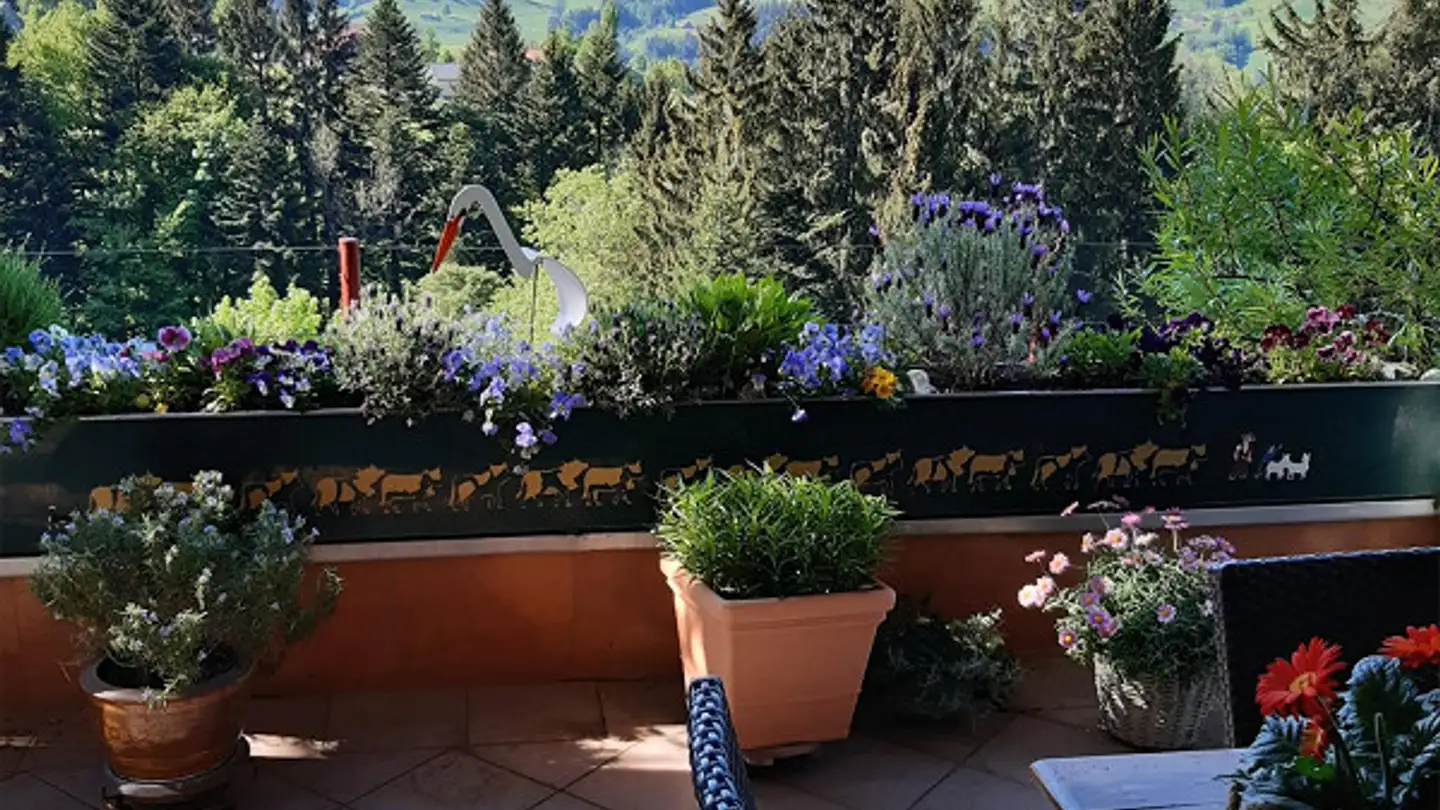 Wohnung mieten - Oberdorf 628, 9044 Wald AR