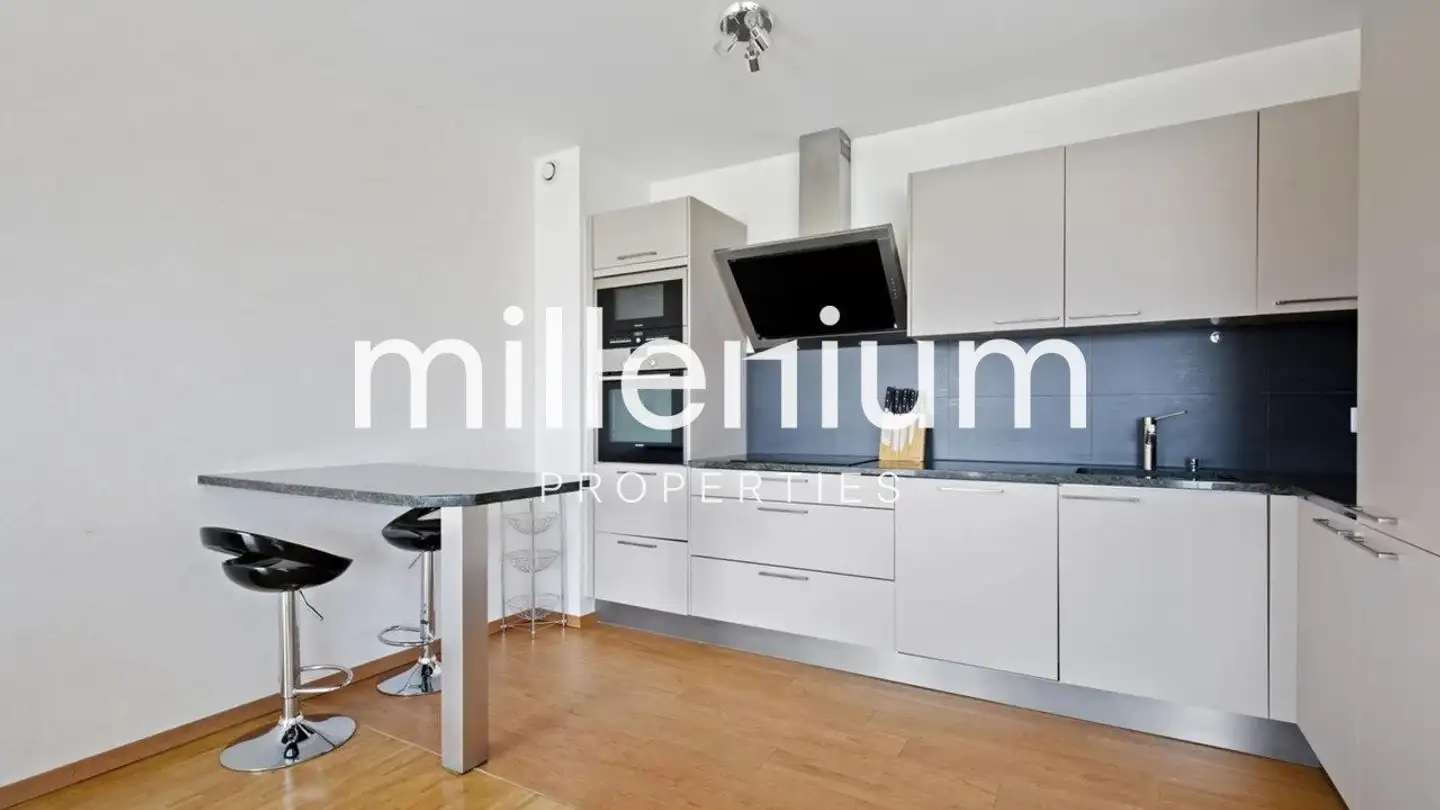 Appartement à louer - 1209 Genève - Photo 4