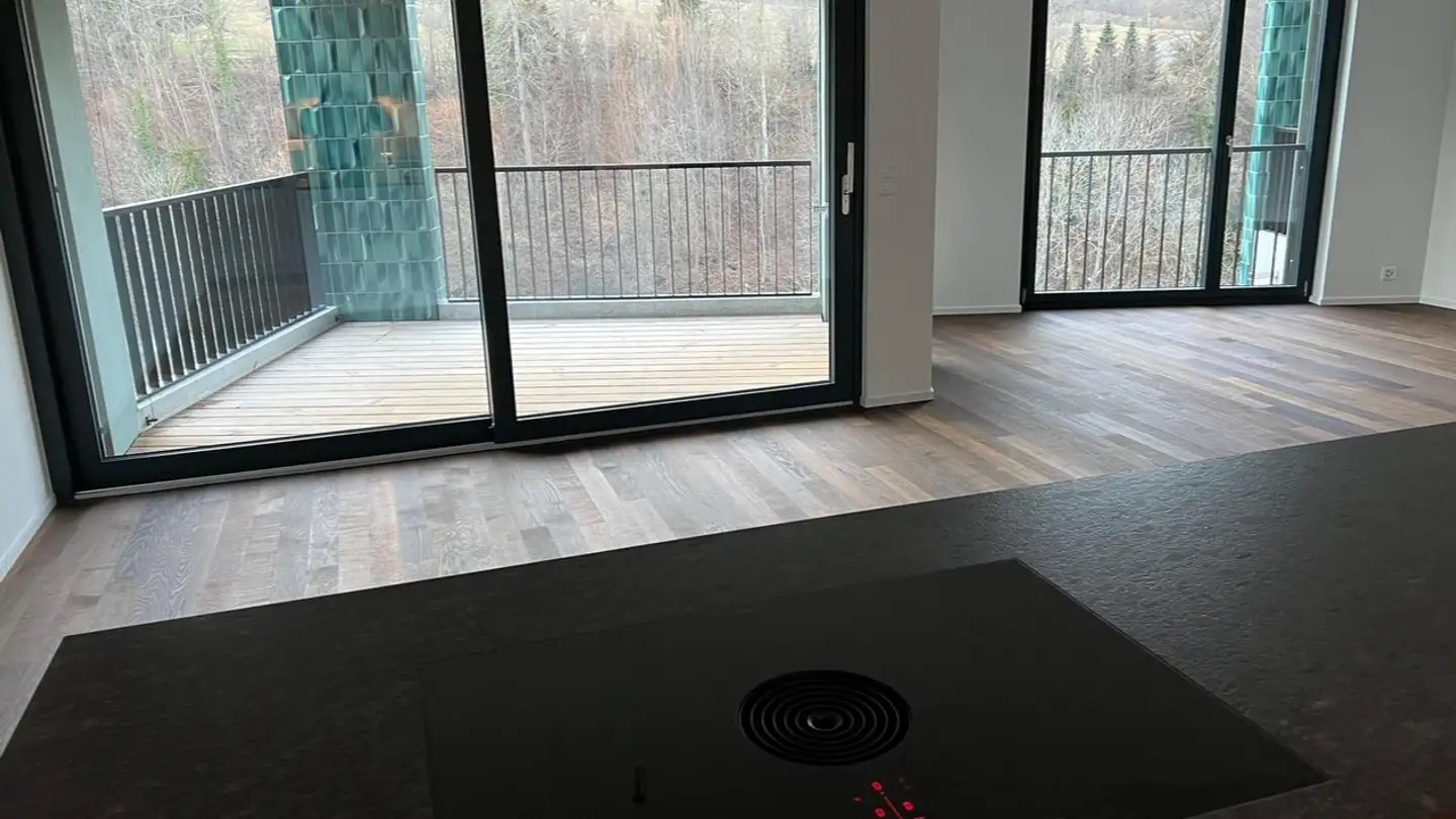 Appartamento in affitto - Haspelstrasse 5, 8041 Zürich - Foto 3