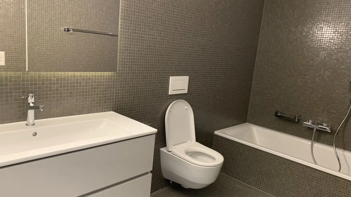 Appartamento in affitto - Haspelstrasse 5, 8041 Zürich - Foto 4