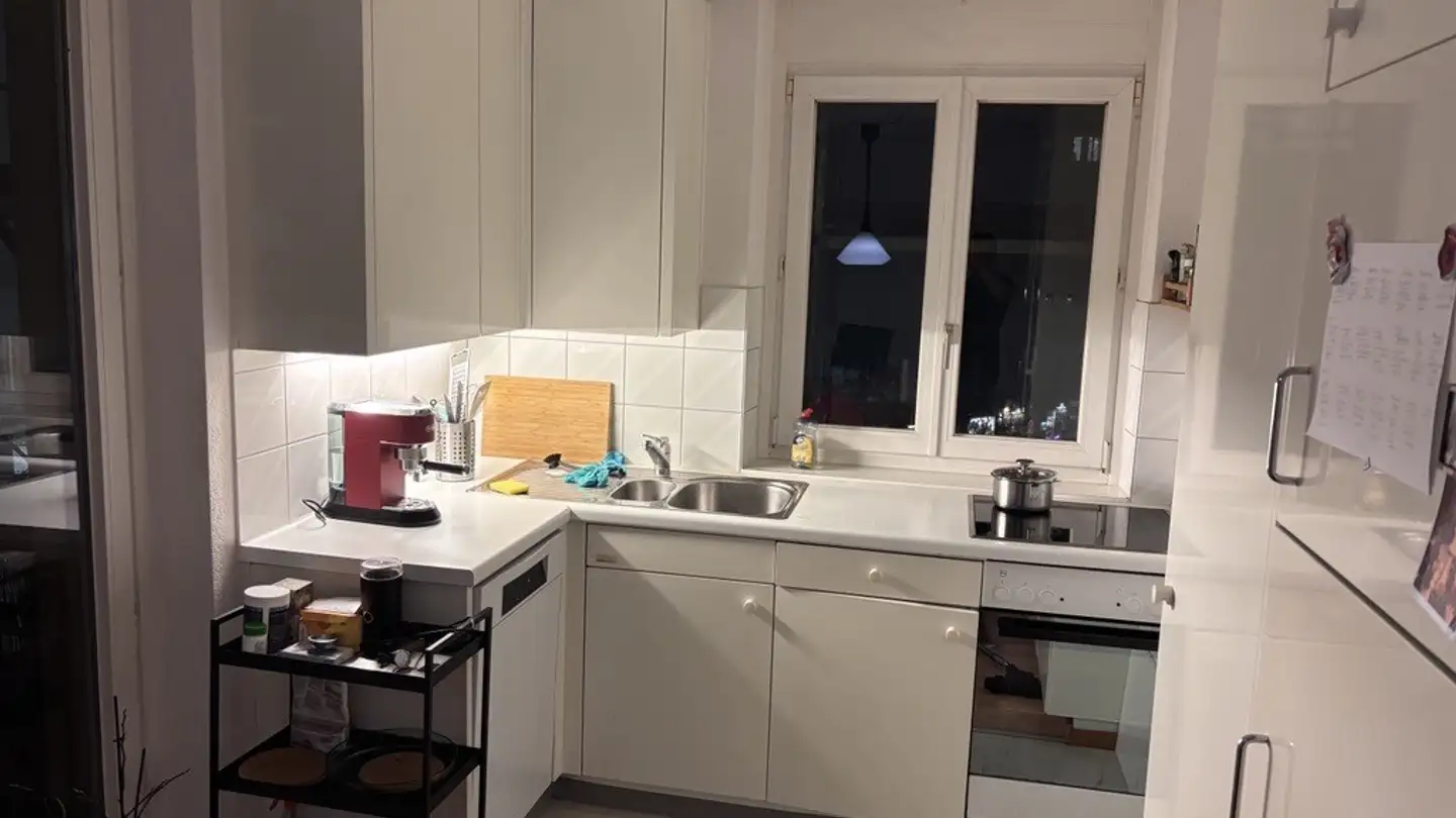 Appartamento in affitto - Friesenbergstrasse 3, 8055 Zürich - Foto 3