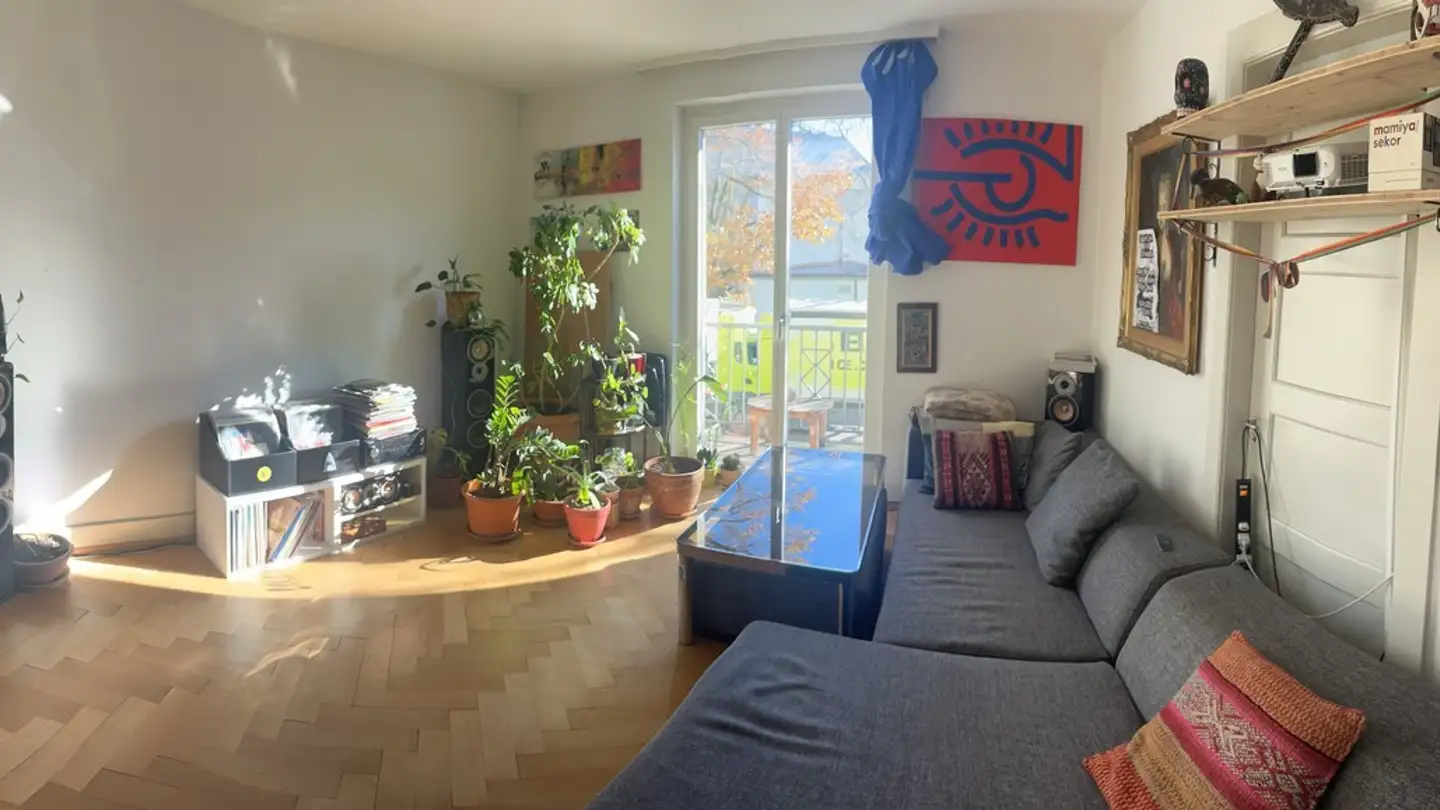 Chambre à louer - Hardstrasse 75, 8004 Zürich