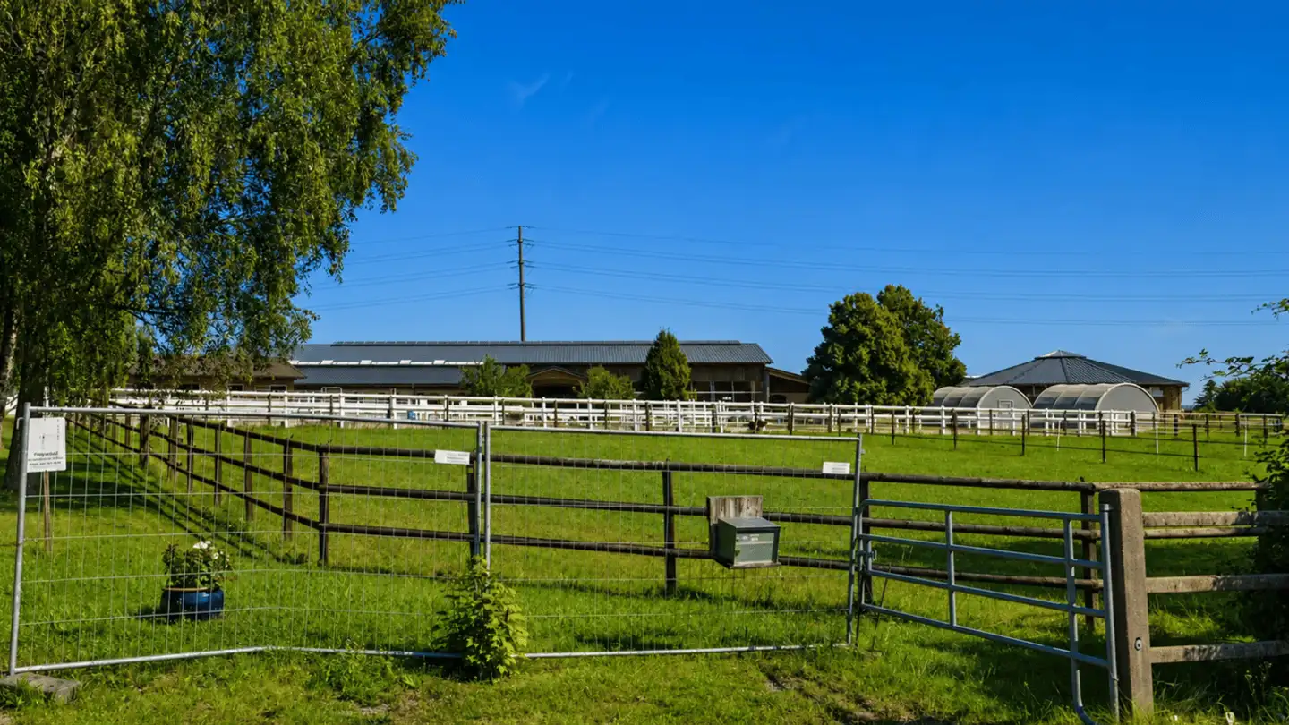 Casa singola in vendita - Langweg 27, 8370 Sirnach