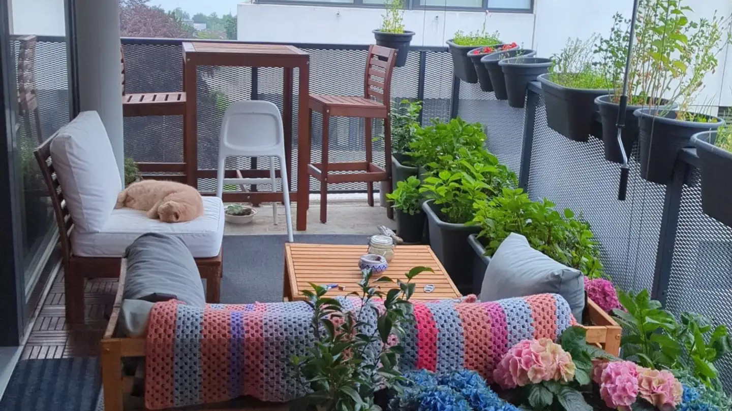 Wohnung mieten - Chemin Des Grandes-Roches, 1018 Lausanne