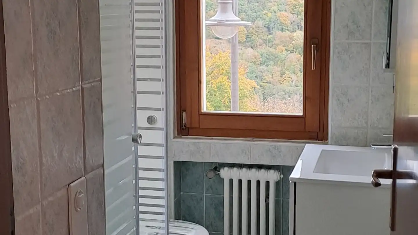 Apartment for rent - Miera Nucleo, 6957 Roveredo TI - Photo 3