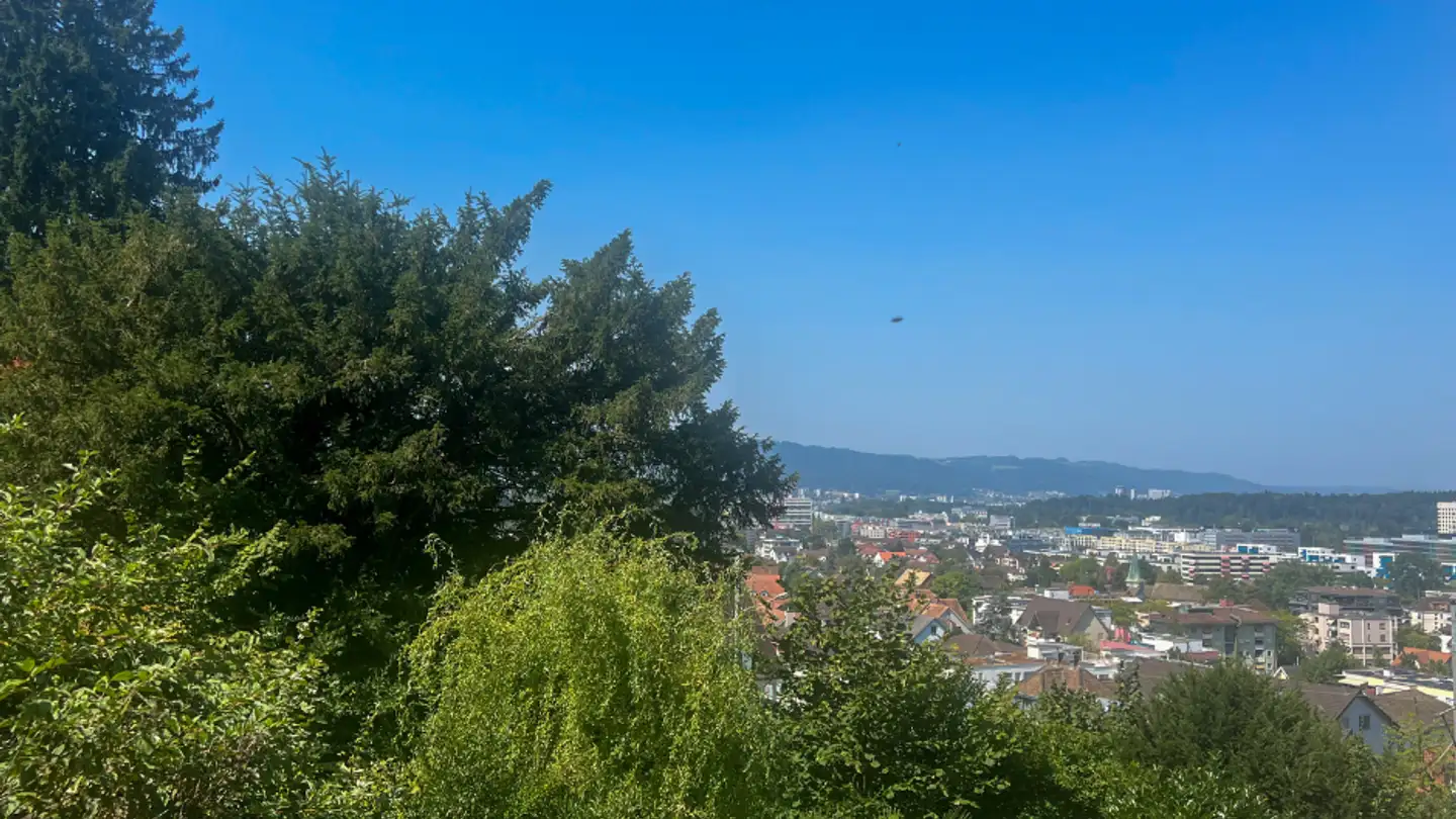 Appartamento in vendita - Alter Zürichweg, 8952 Schlieren - Photo 4