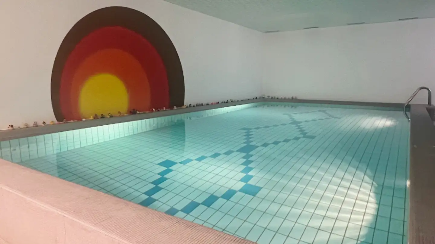 Appartement à vendre - Alter Zürichweg, 8952 Schlieren