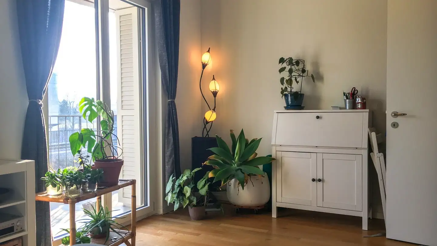 Single room for rent - 8050 Zürich