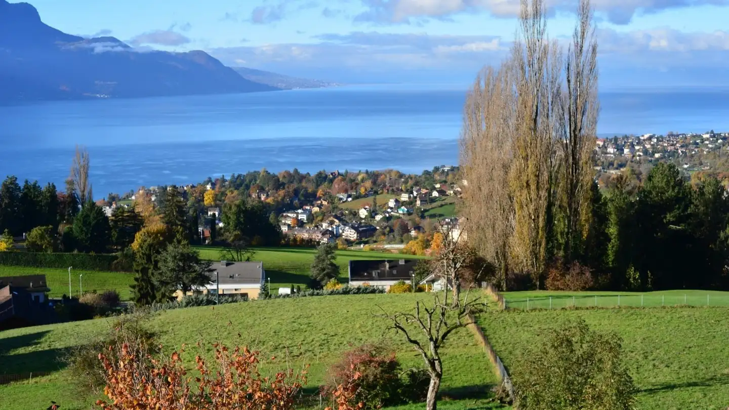 Appartamento ammobiliato in affitto - 1817 Brent