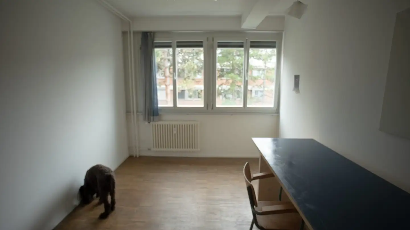 Zimmer mieten - Nidelbadstrasse, 8038 Zürich