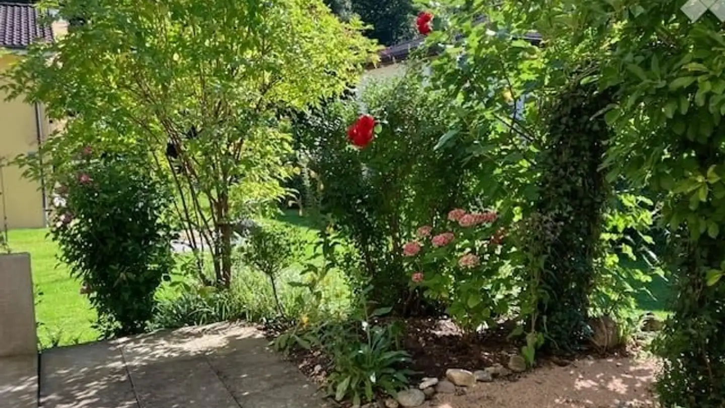 Appartement à louer - 5024 Küttigen - Photo 2