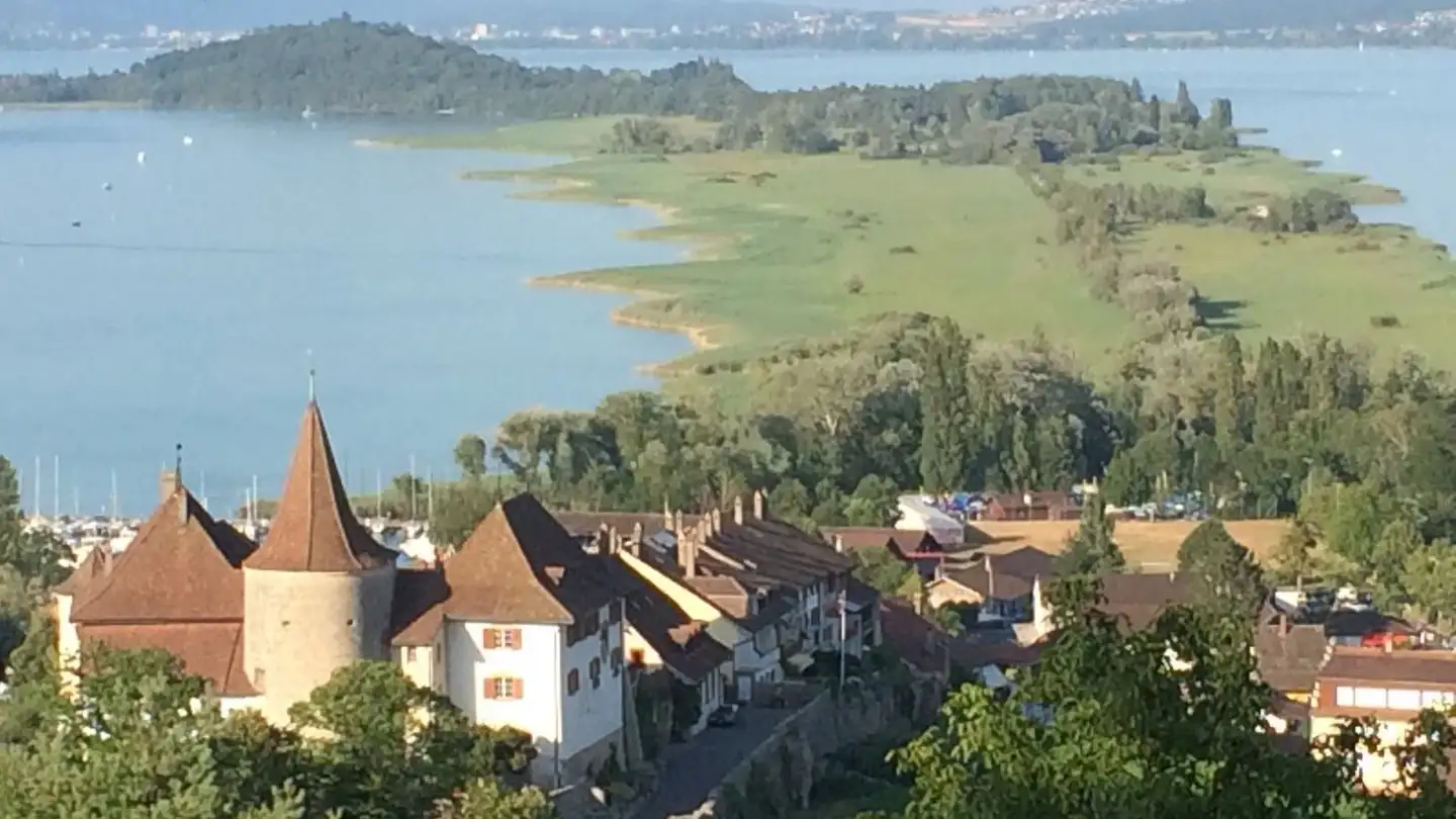 Appartement à louer - Burgerweg 17, 3235 Erlach - Photo 2