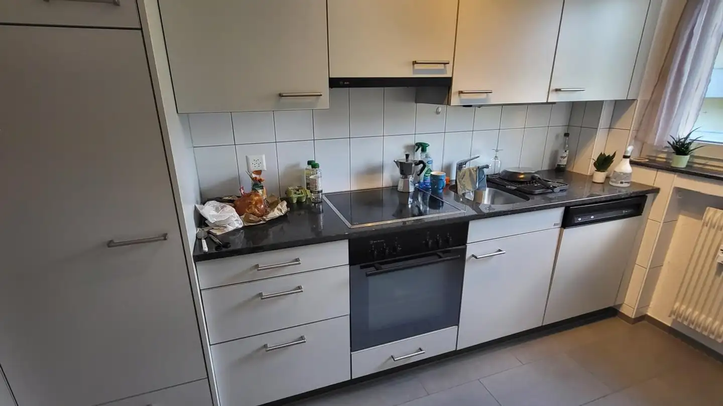 Appartamento in affitto - Emile-Ganguillet-Weg 22, 2503 Biel/Bienne - Foto 2