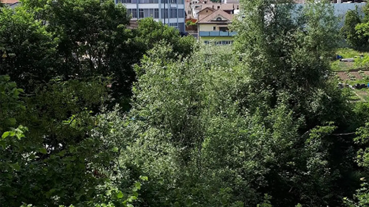 Appartamento in affitto - St. Gallerstrasse 77, 9230 Flawil - Foto 2