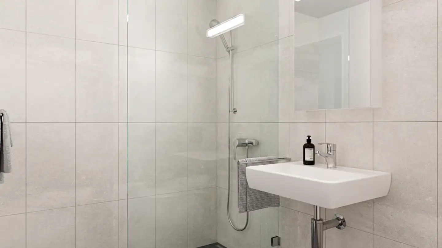 Appartamento in affitto - Althardstrasse 52b, 8105 Regensdorf - Foto 4