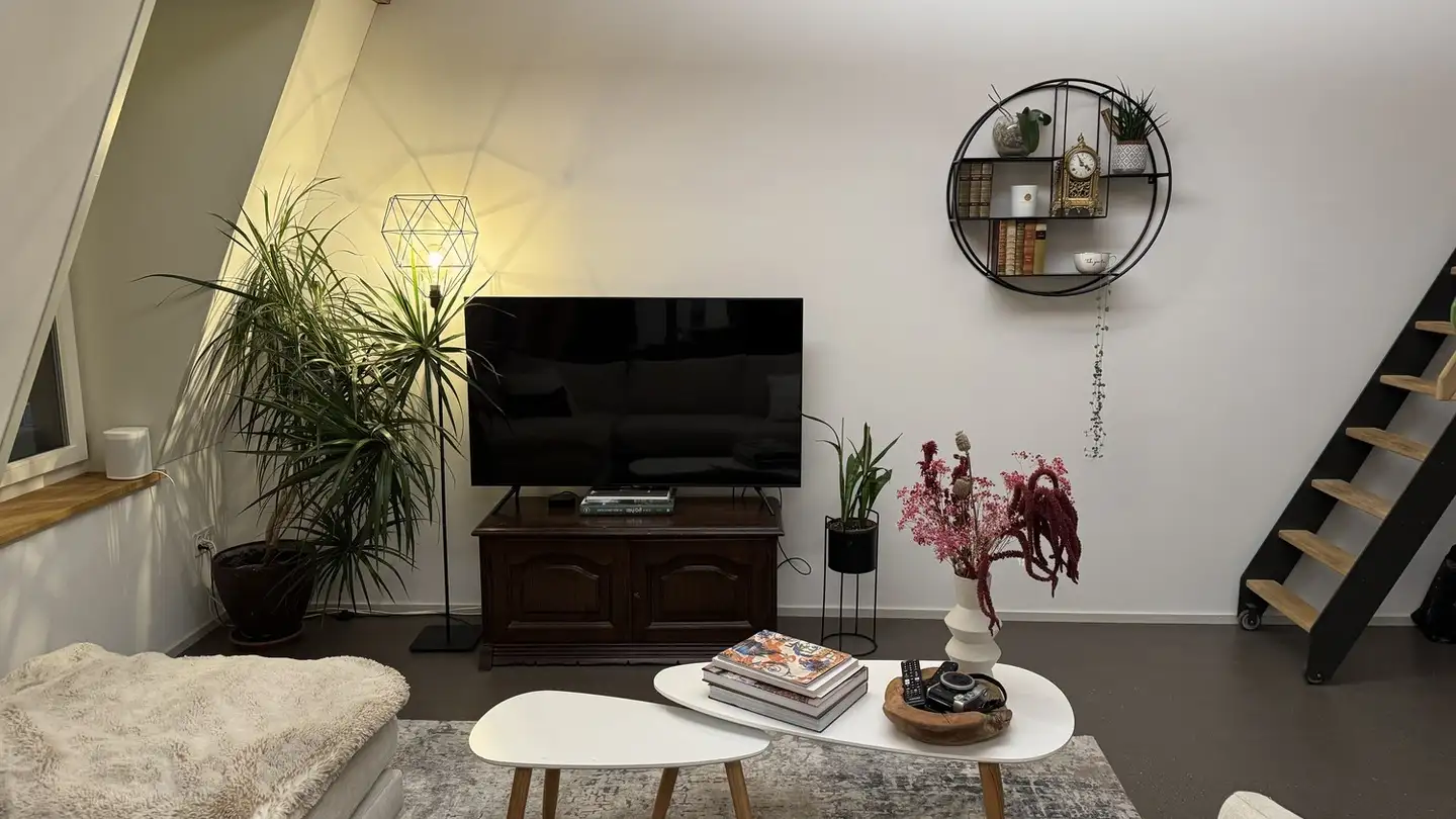 Appartamento in affitto - Schaffhauserstrasse 5, 8400 Winterthur - Foto 2