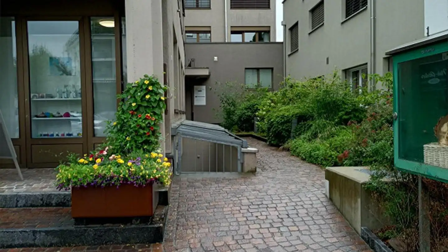 Laboratorio in affitto - Mittlere Bahnhofstrasse 8, 8853 Lachen SZ