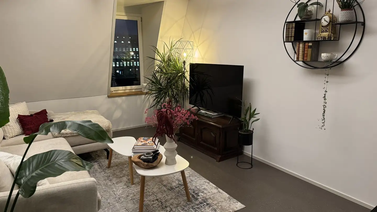 Appartamento in affitto - Schaffhauserstrasse 5, 8400 Winterthur