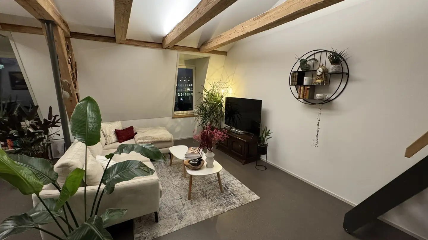 Appartamento in affitto - Schaffhauserstrasse 5, 8400 Winterthur - Foto 3