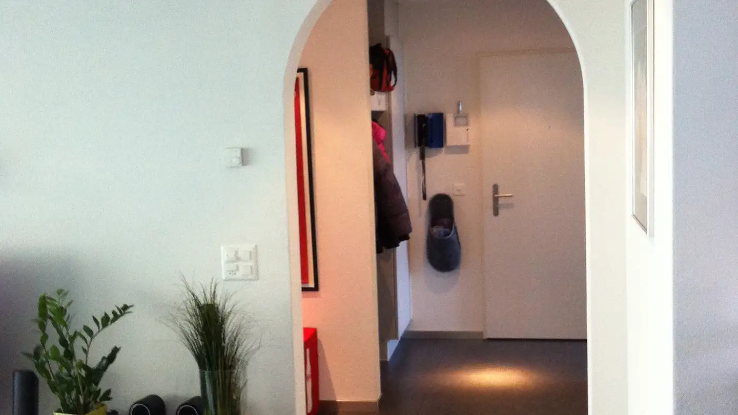 Appartamento in affitto - Walterswilerstrasse 5a, 5745 Safenwil - Foto 2