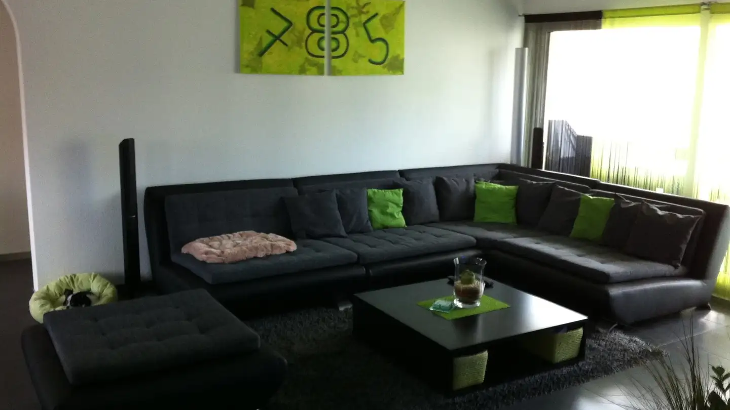 Appartamento in affitto - Walterswilerstrasse 5a, 5745 Safenwil - Foto 3