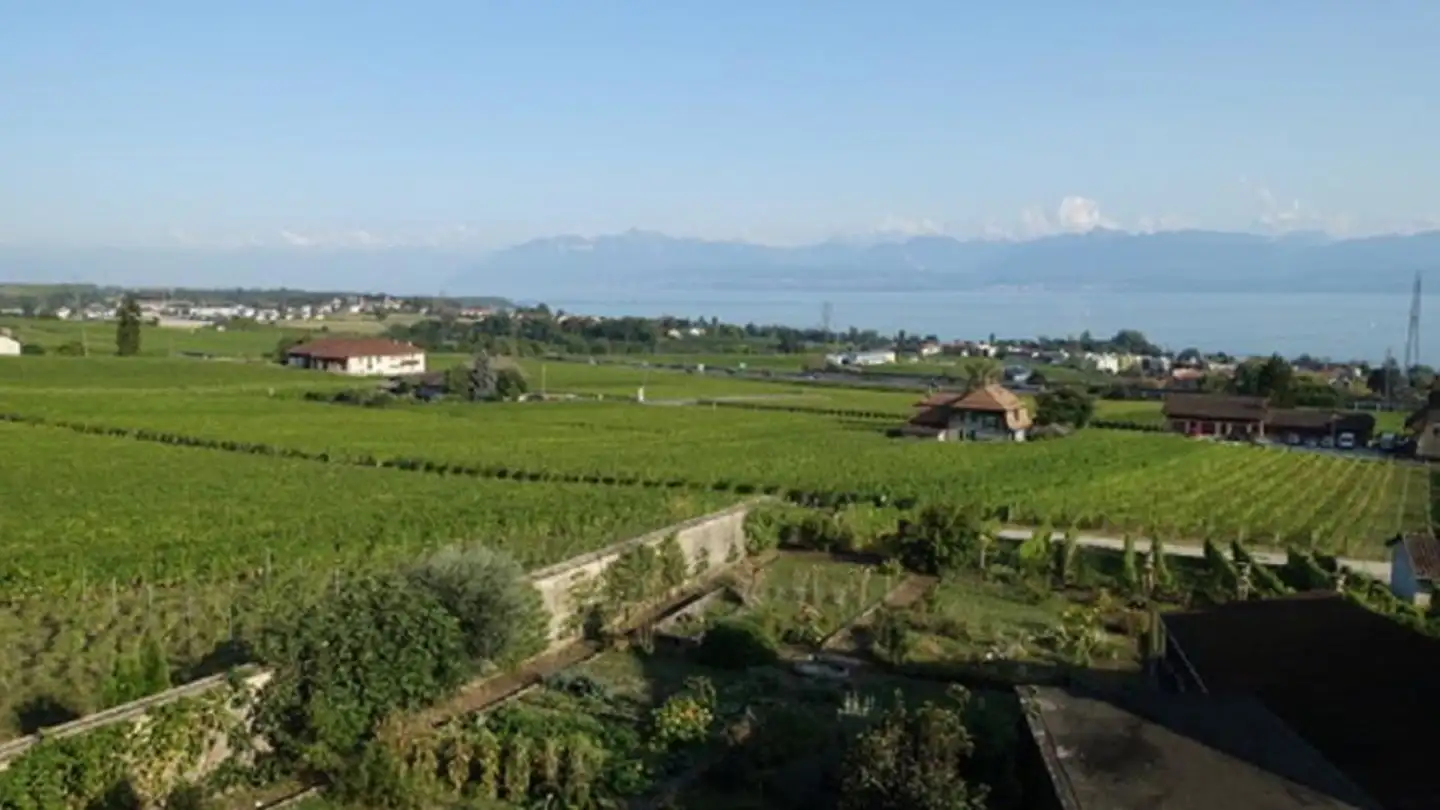 Apartment for rent - Route de la Versoix 13, 1185 Mont-sur-Rolle - Photo 3