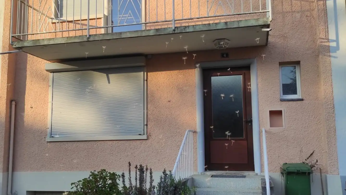 Casa singola in affitto - Kapellenstrasse 4, 8590 Romanshorn - Foto 3