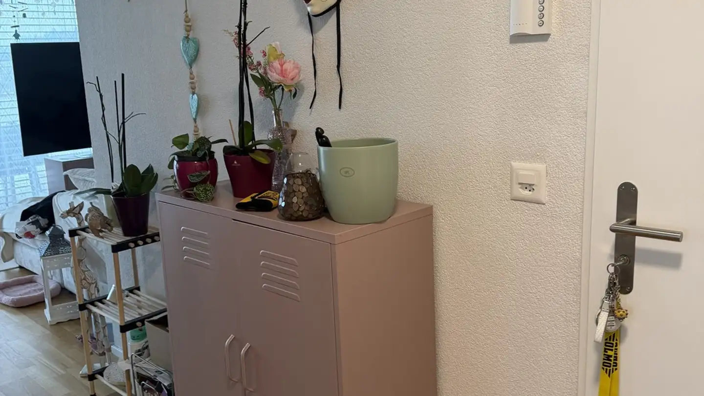 Penthouse for rent - Blümlisalpstrasse 9, 4562 Biberist - Photo 3