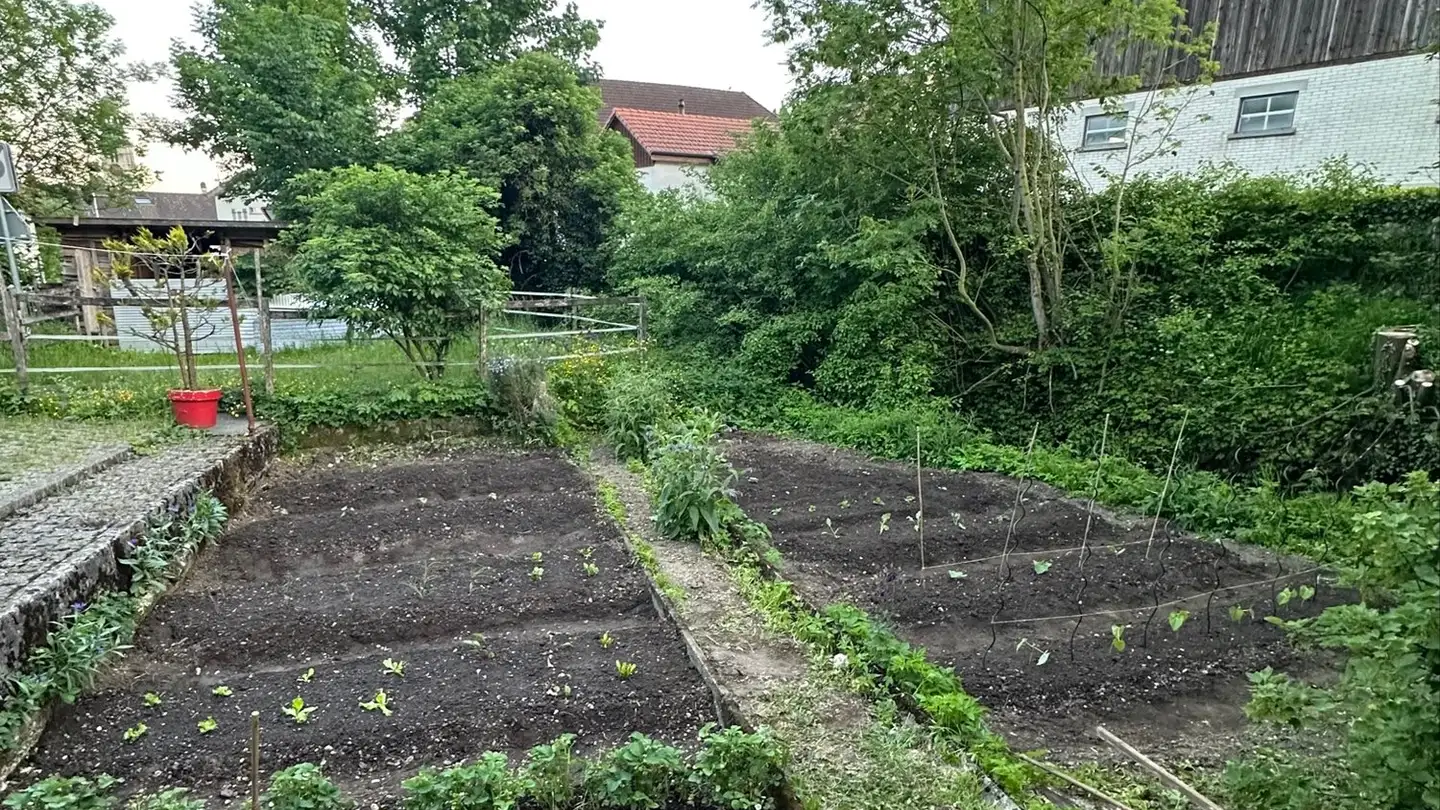 Appartamento in affitto - 4512 Bellach - Photo 4