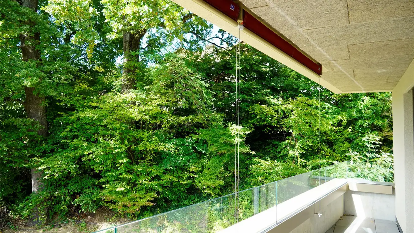 Wohnung kaufen - Äntenschnabel, 8353 Elgg - Foto 4