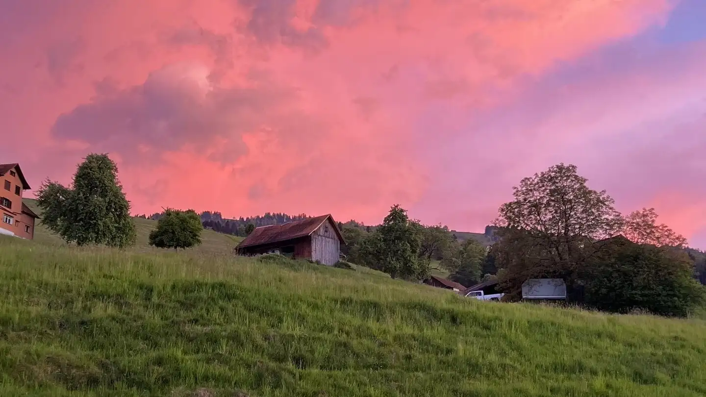 Appartement meublé à louer - Talstrasse 15a, 8852 Altendorf - Photo 4