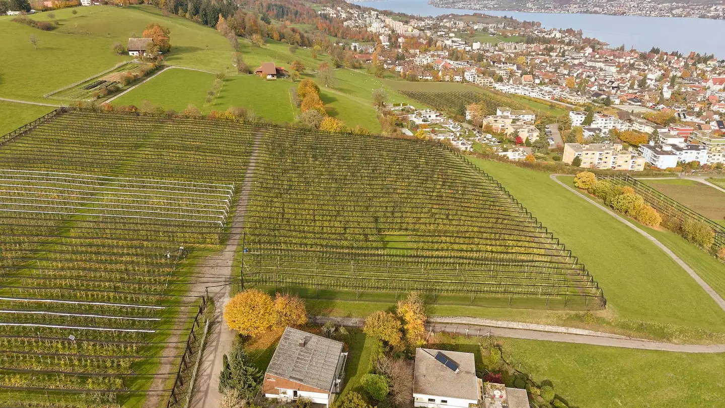 Constructible plot for sale - Drusbergstrasse 10, 8820 Wädenswil - Photo 3