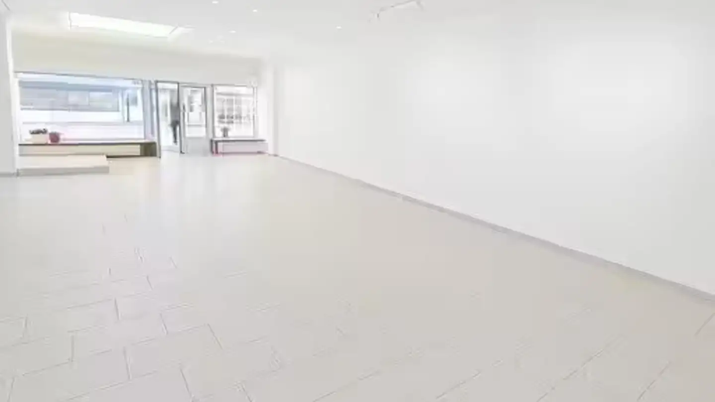 Gewerbe mieten - 6900 Lugano
