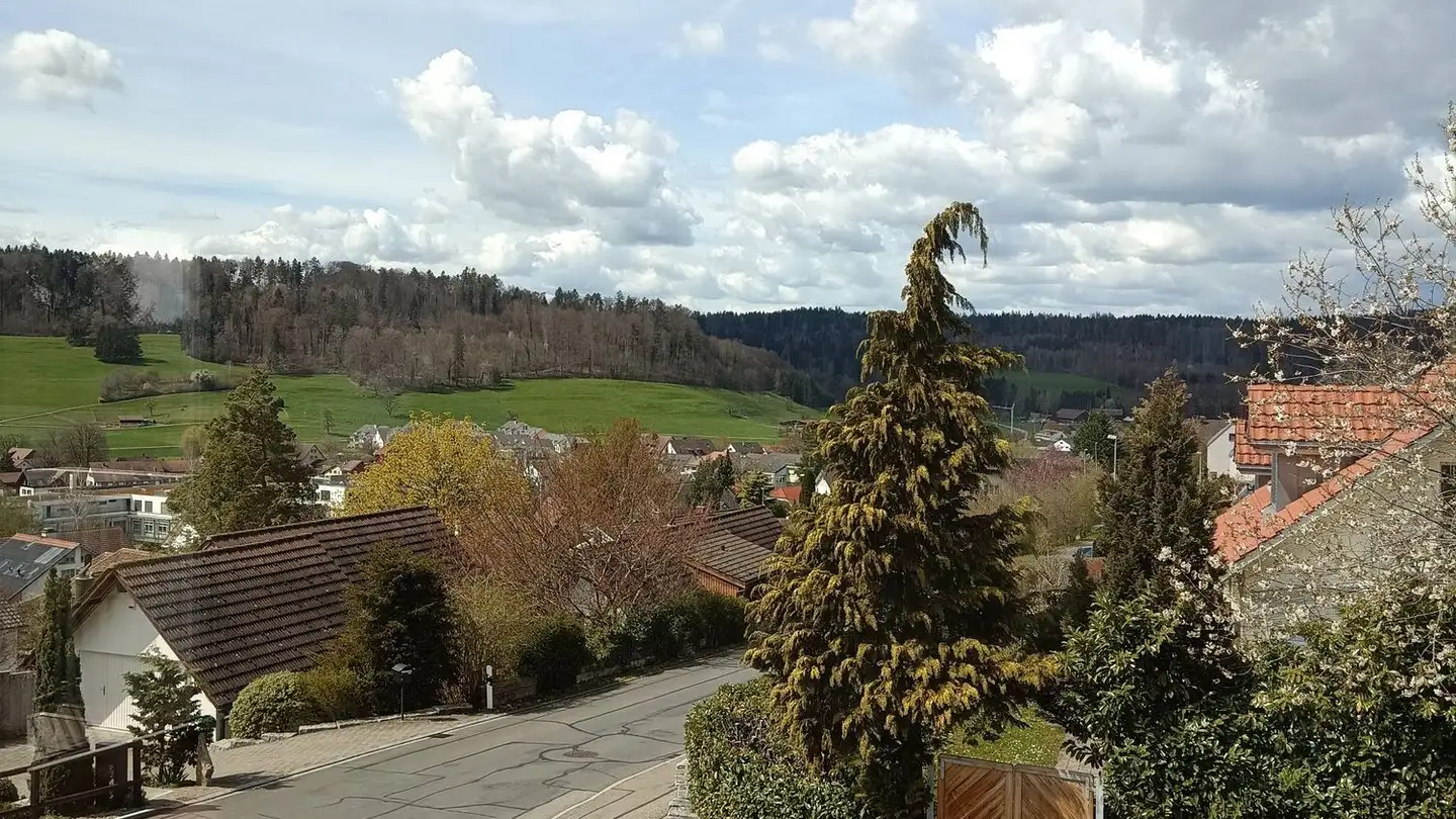 Single house for rent - Chalcheren 2, 8484 Weisslingen - Photo 4