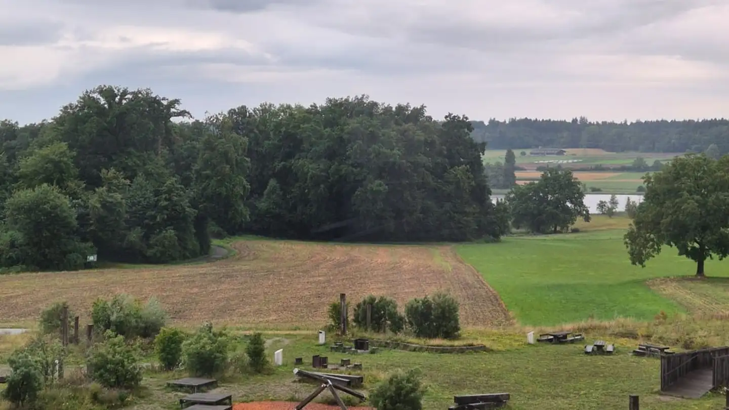 Single room for rent - Mühlackerstrasse 112, 8046 Zürich - Photo 4