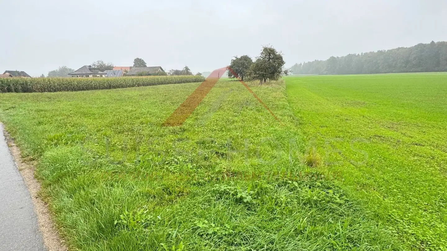 Terreno edificabile in vendita - 3376 Graben - Photo 3