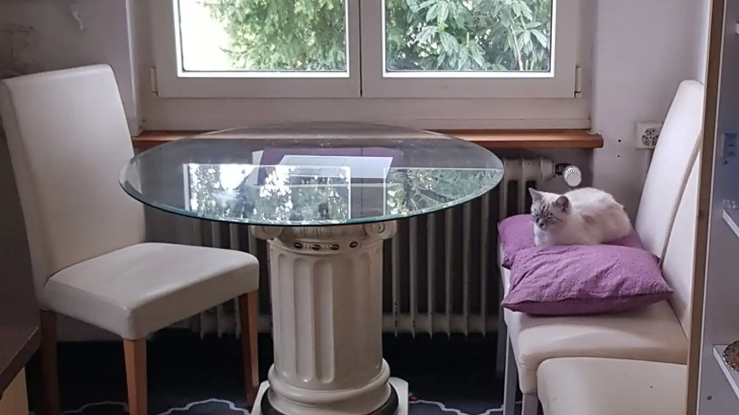 Stanza singola in affitto - 8050 Zürich