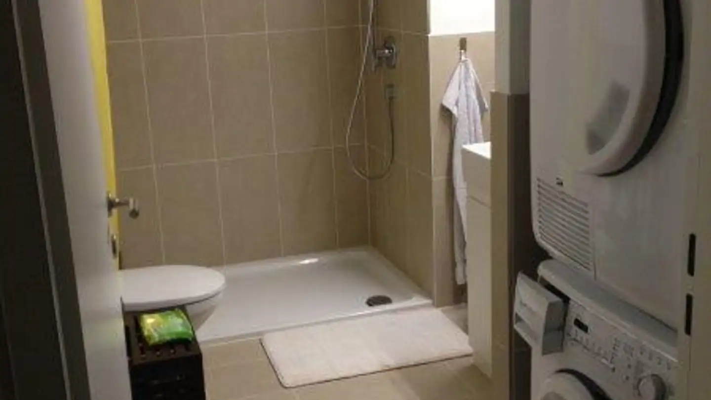 Appartement à louer - Goldschlägistrasse 2, 8952 Schlieren - Photo 4